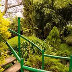 Suite 1C, Balcon, Garden House, Welcome To San Angel
