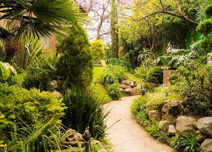 Suite 1C, Balcon, Garden House, Welcome To San Angel