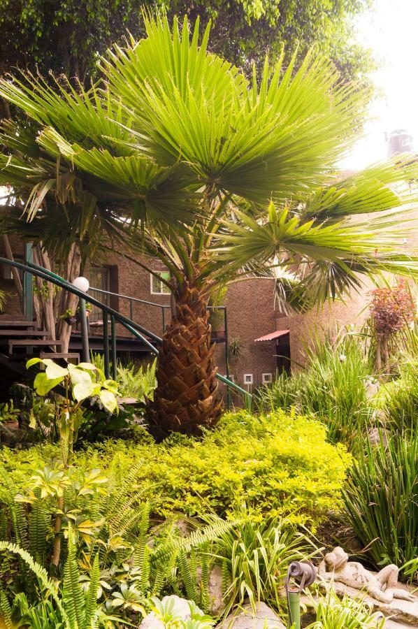 Apartment 1c, Balcon, Garden House, Welcome To San Angel Mexiko-Stadt