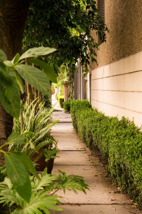 1c, Balcon, Garden House, Welcome To San Angel Apartment *