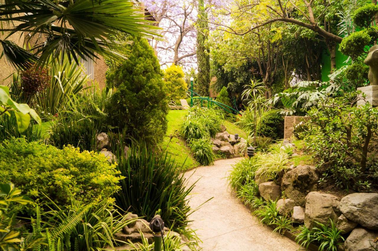 Apartment 1c, Balcon, Garden House, Welcome To San Angel Mexiko-Stadt